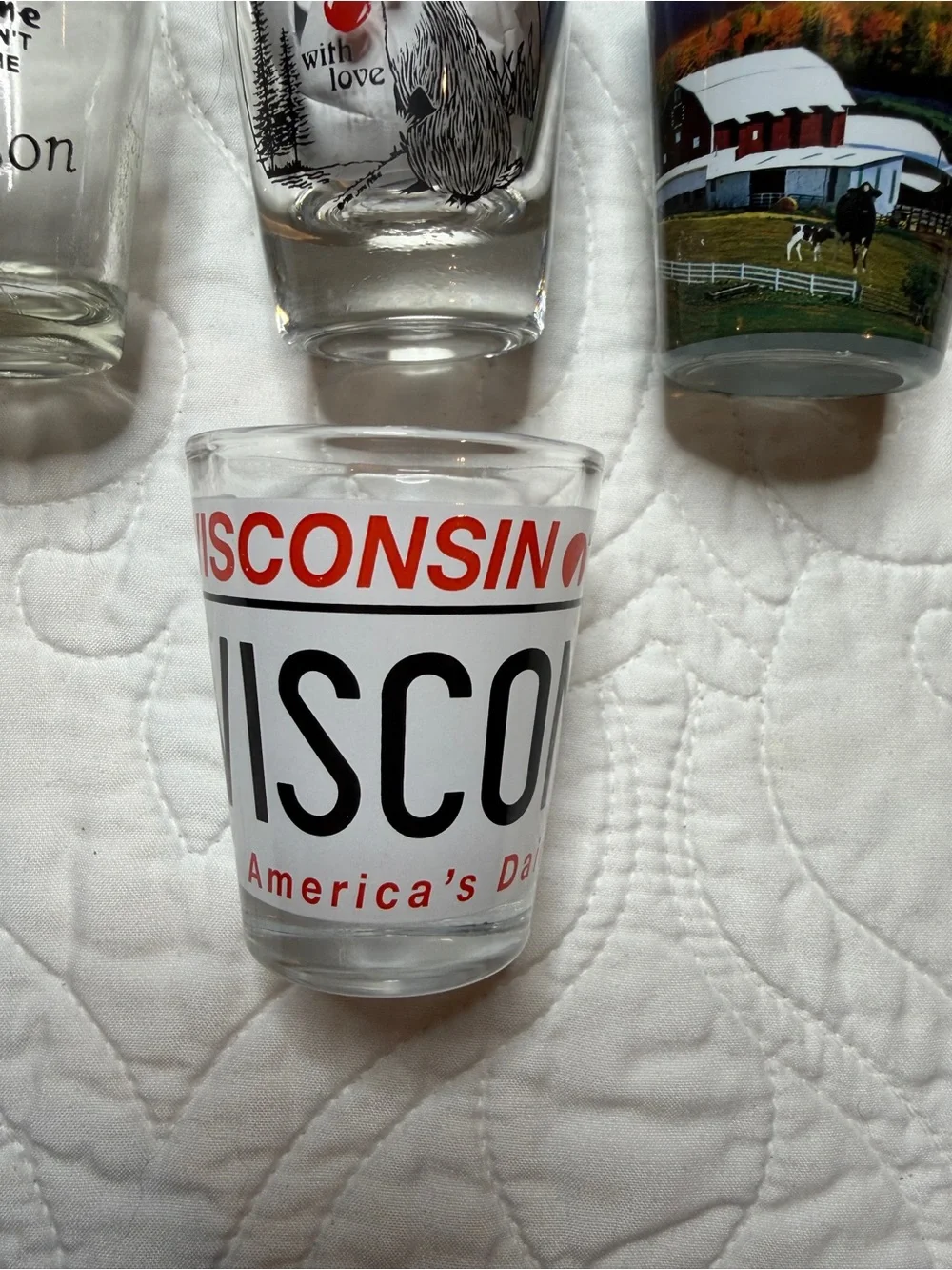 Wisconsin Souvenir Shot Glass Lot - Colorful State Designs